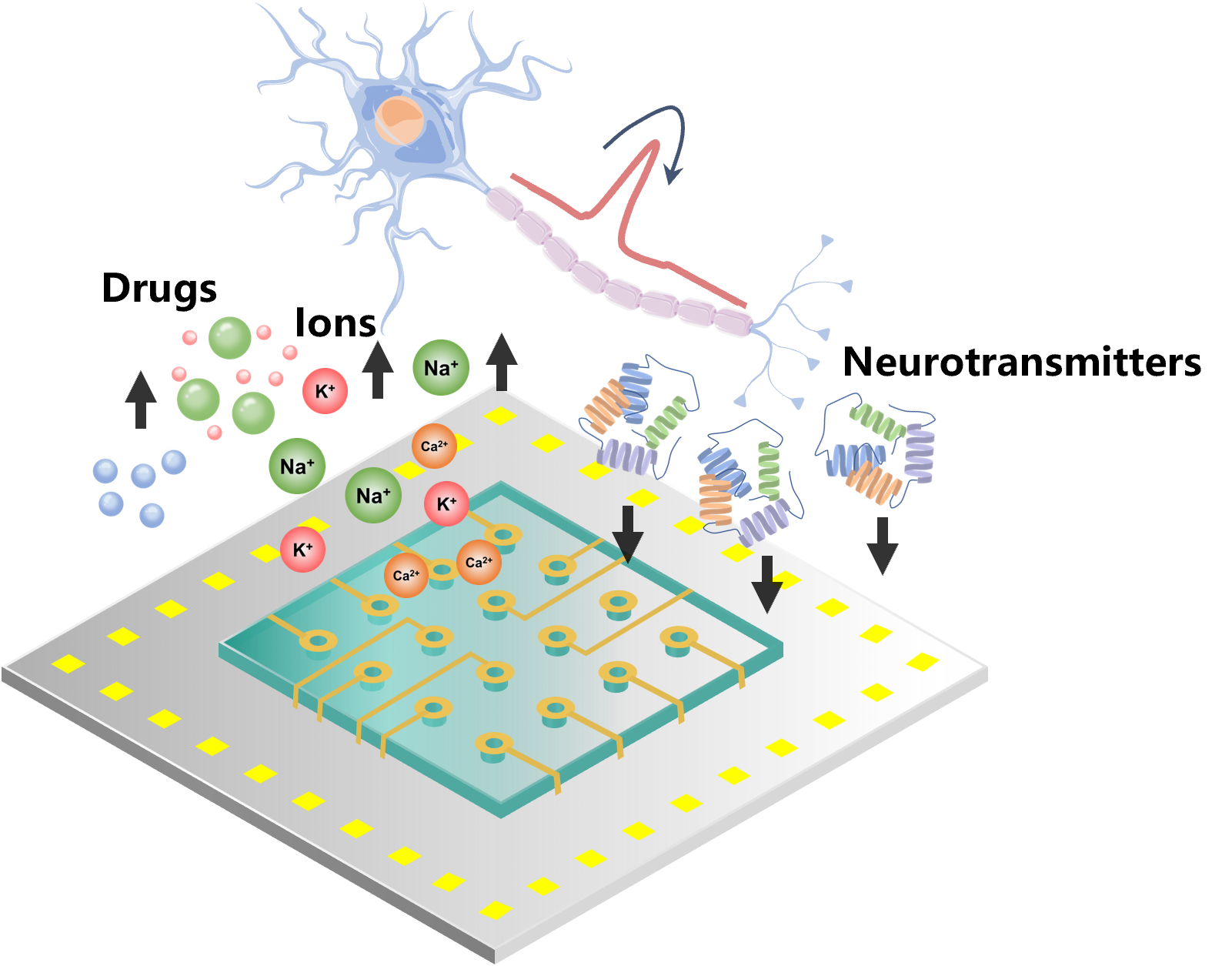 Closed-Loop Neural Modulation