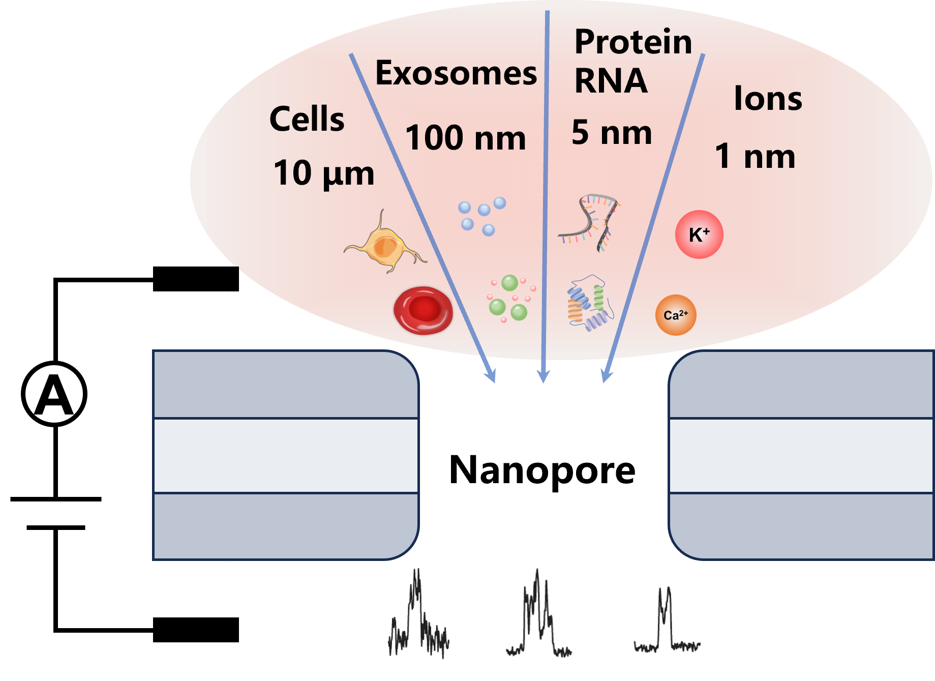Single Molecular/Cellular Detection